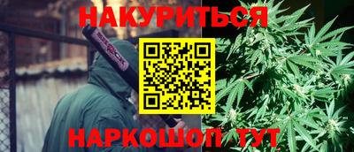 индика Кунгур