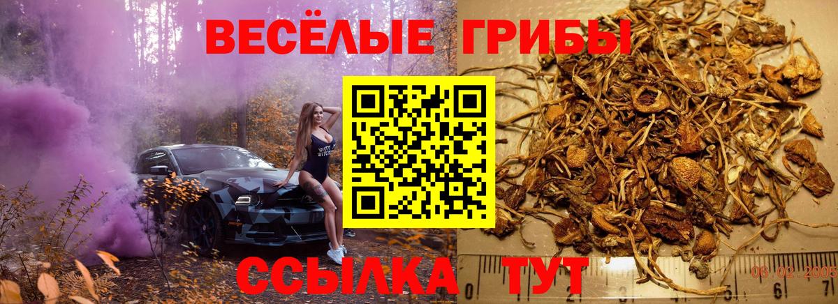 Галлюциногенные грибы прущие грибы Железногорск