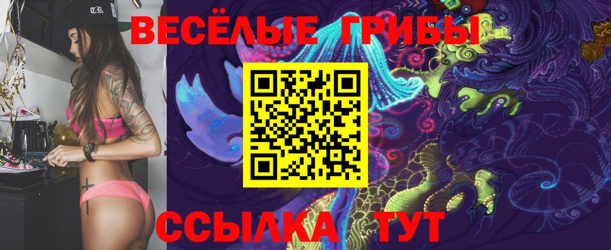 Железногорск  Галлюциногенные грибы Magic Shrooms  Галлюциногенные грибы Psilocybe  Вход с VPN 